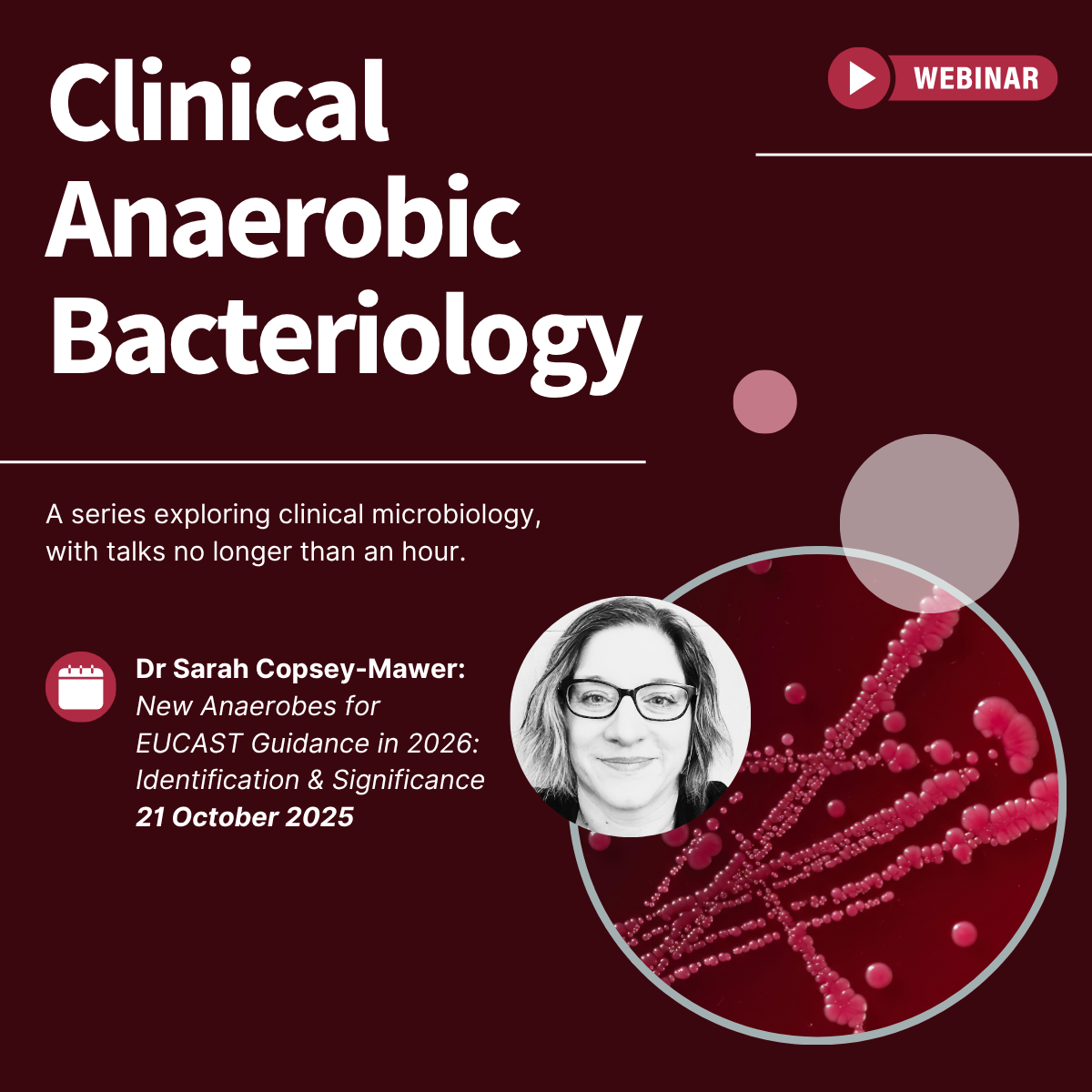 Clinical_Anaerobic_Bacteriology_Sarah_Copsey-Mawer.png